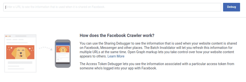 The Facebook Share Debugger shows what was found in your link